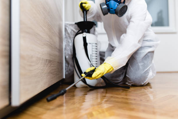 Best Best Pest Control Companies  in Chase City, VA