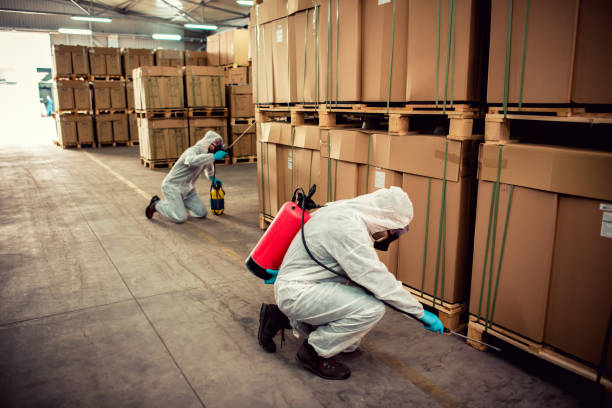 Best Affordable Pest Control Services  in Chase City, VA