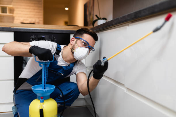 Best Pest Control Near Me in Chase City, VA