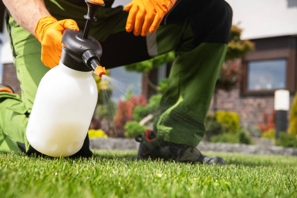 Best Pest Inspection Near Me  in Chase City, VA