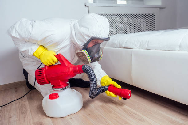Best Local Pest Control Services  in Chase City, VA